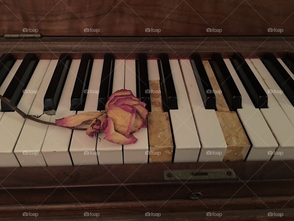 Piano with rose