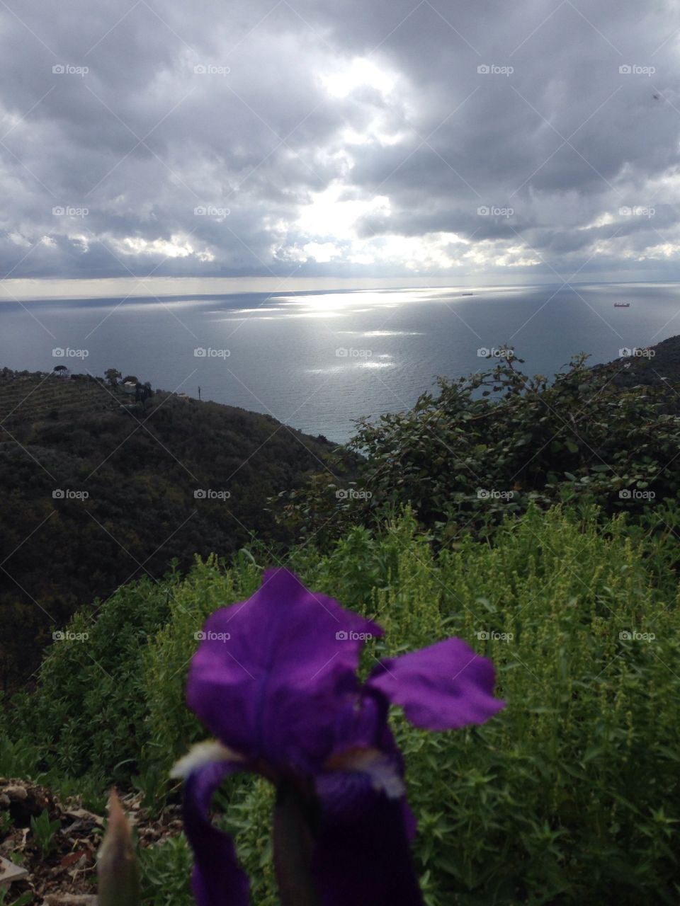 San Apollinare Liguria