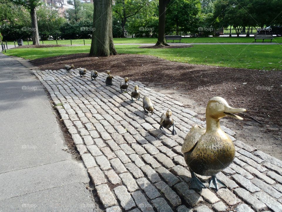 Make Way for Ducklings at The Boston Public Garden