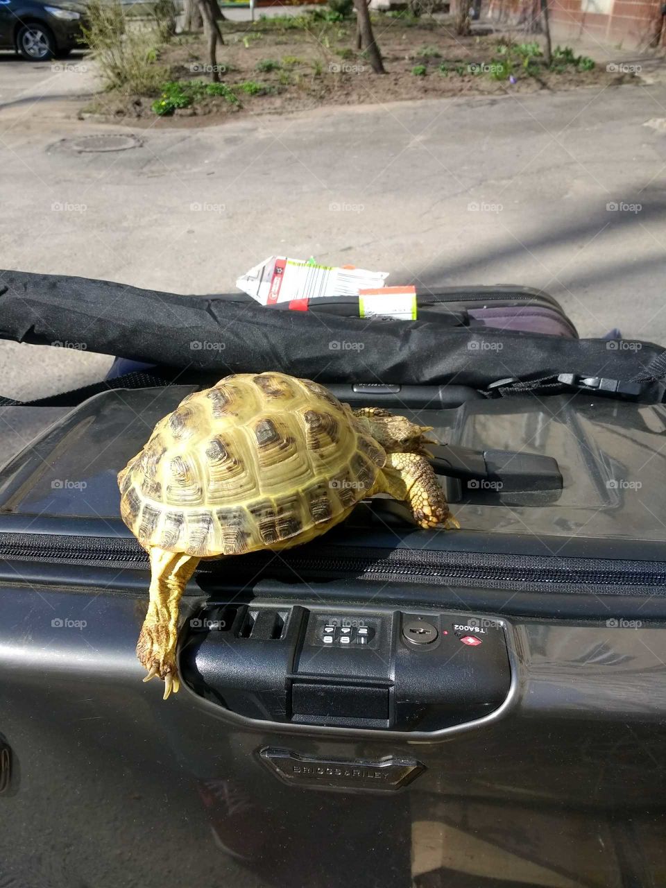 On the road to the new life