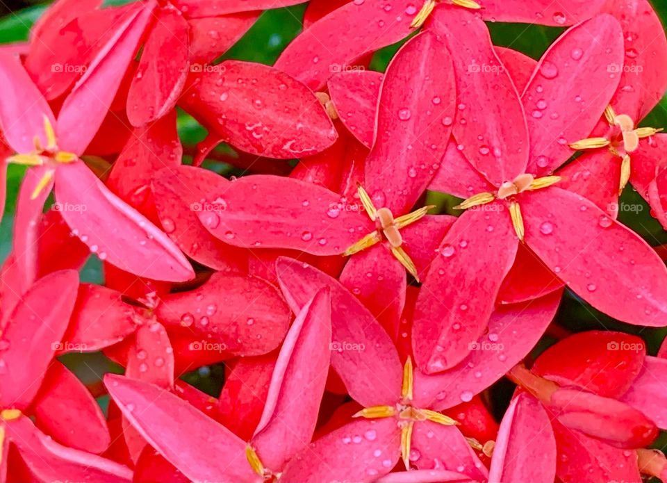 Natural line natural rain and natural color number three 