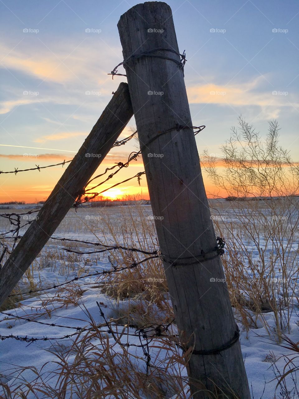 Rural winter sunset 