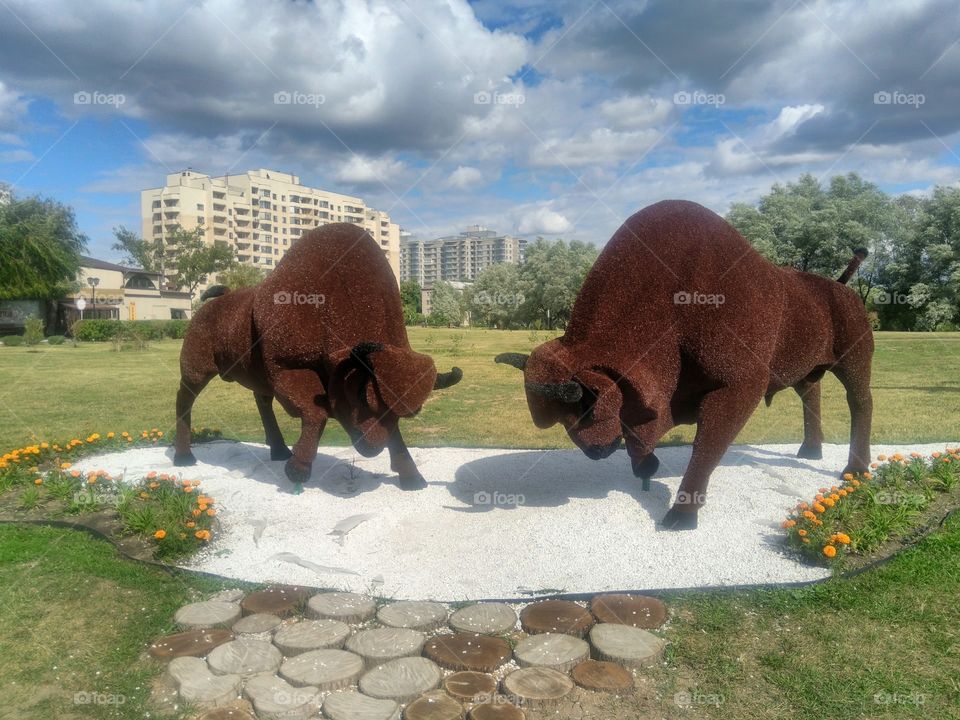 figure animals Olympics street art landscape in the Minsk city Belarus