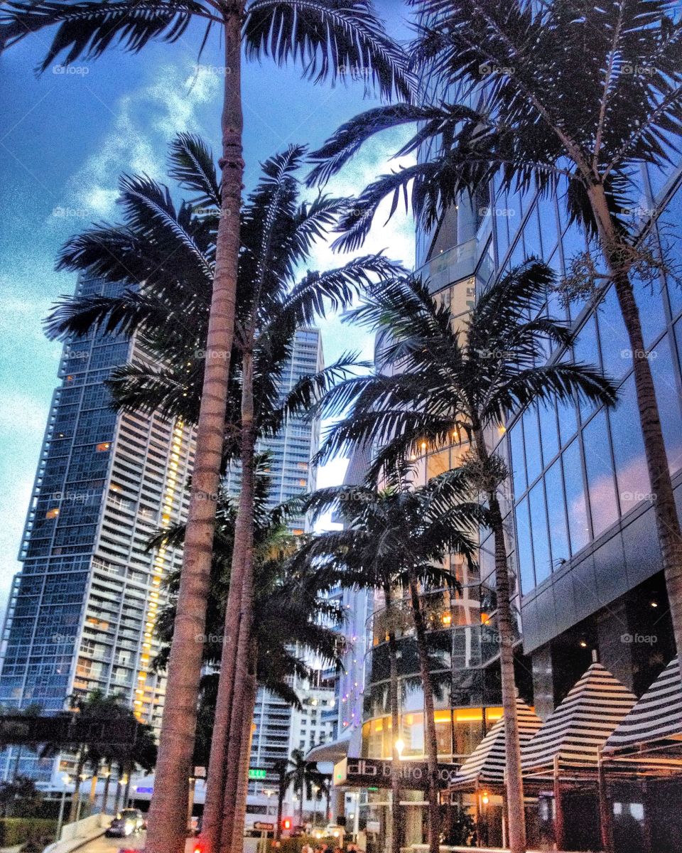 Miami sunsets