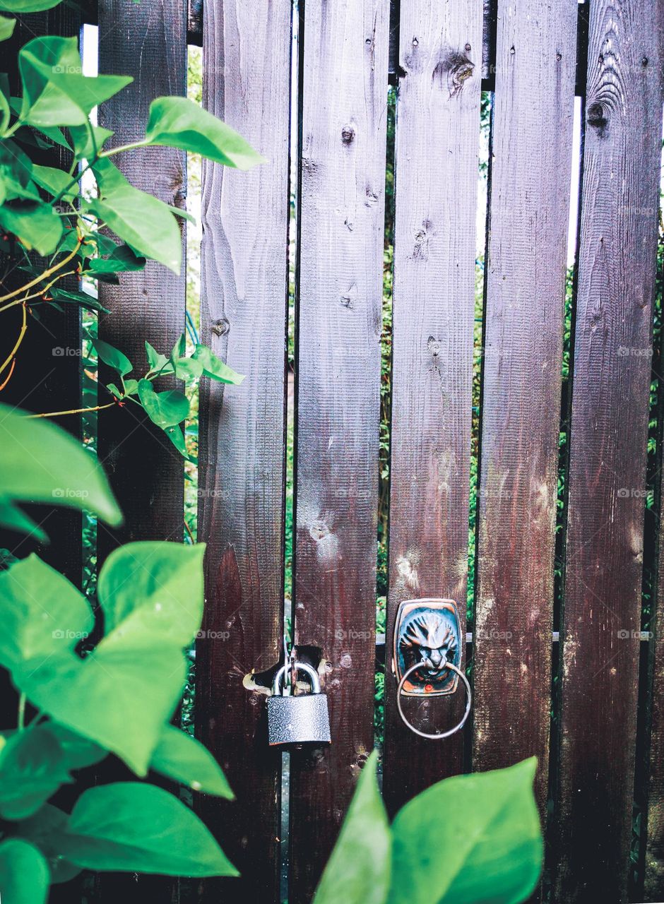 Locked garden gate