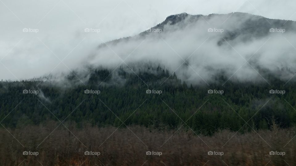 Foggy Mountain