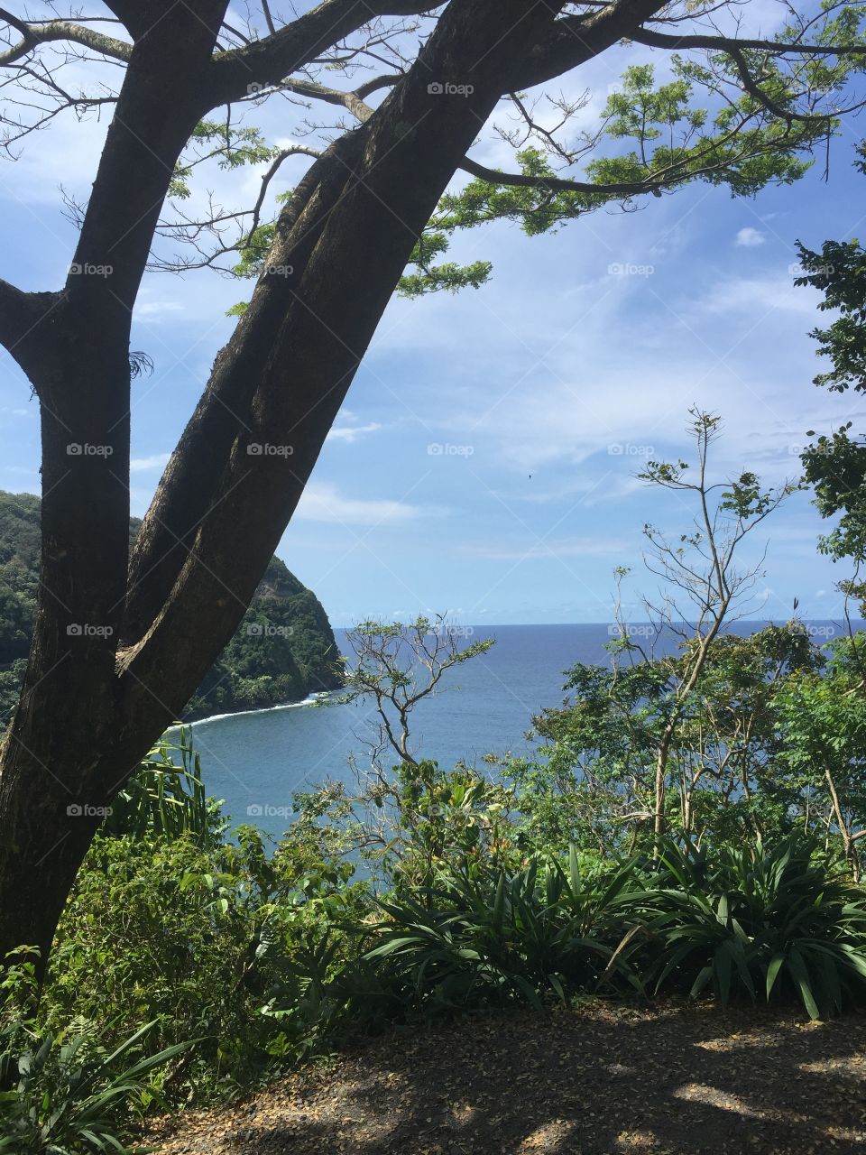 Road to Hana