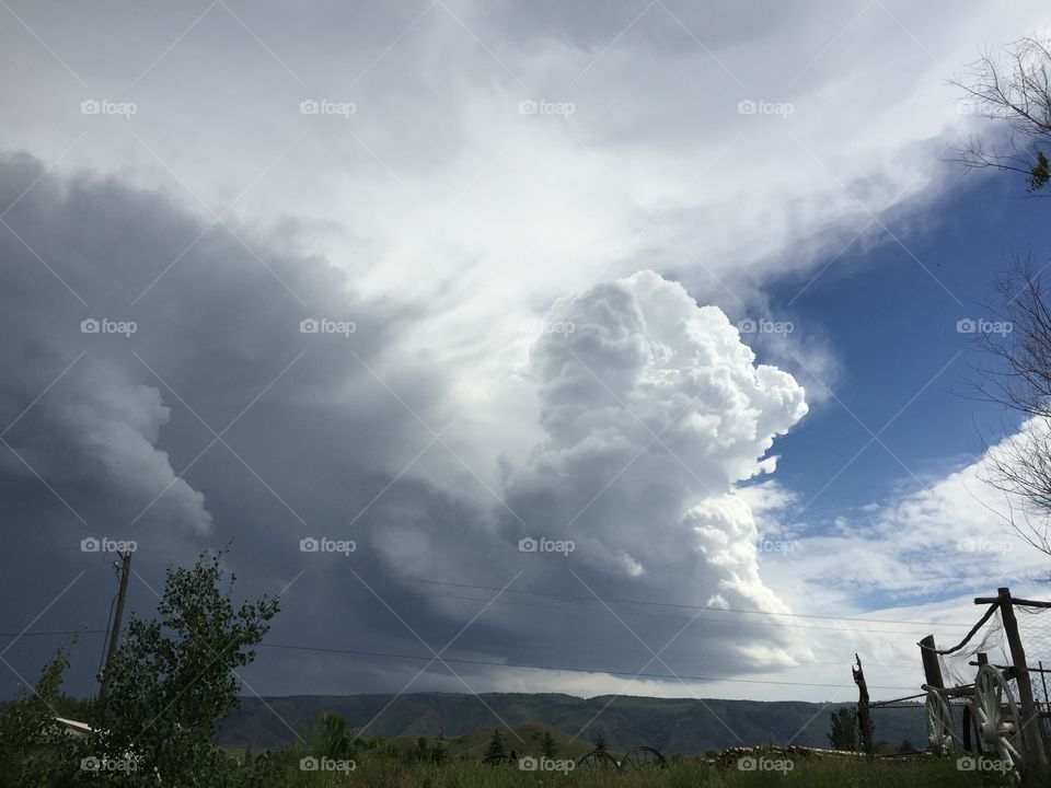 Unique thunderhead