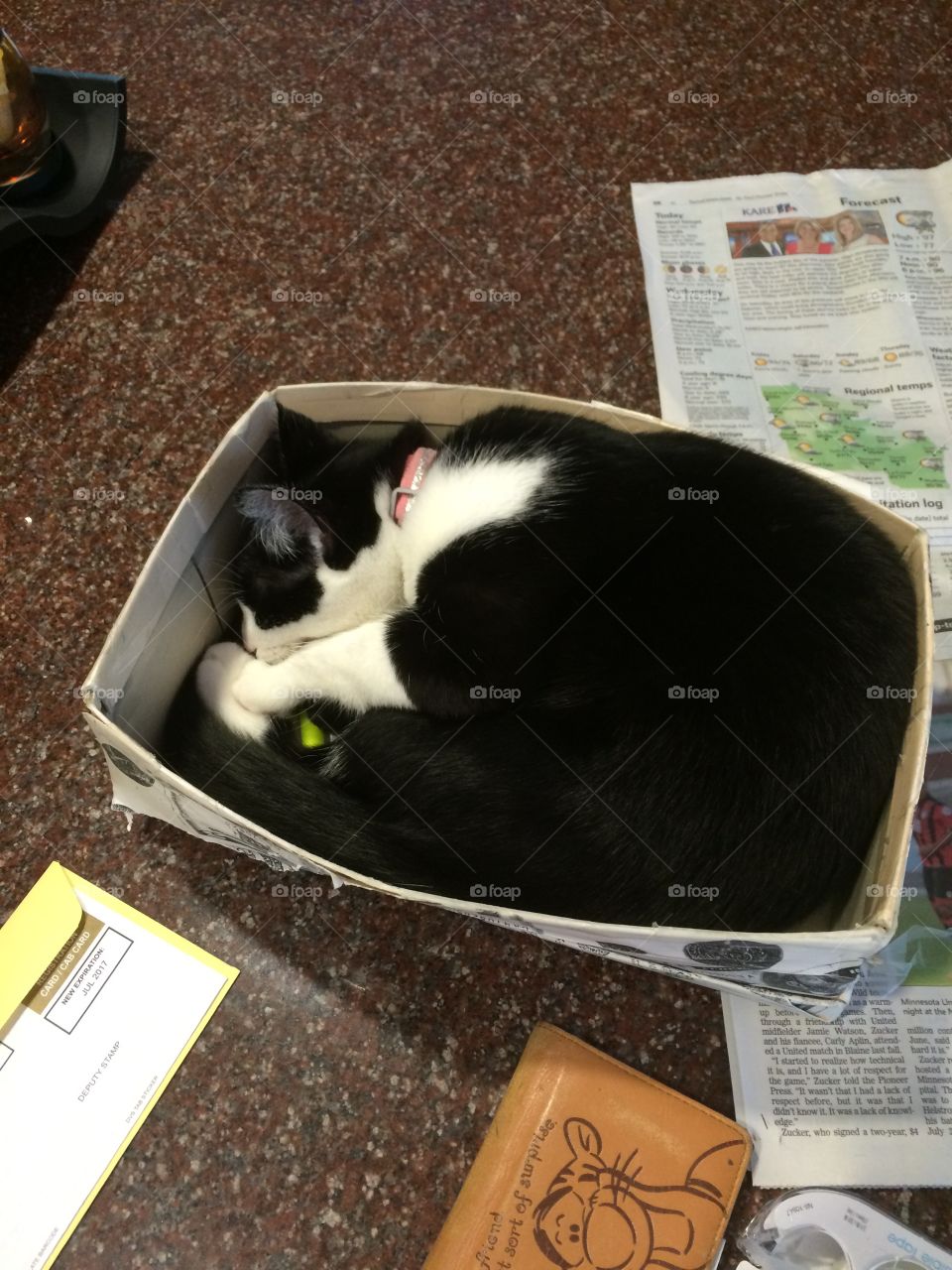 A small place for a small cat to curl up