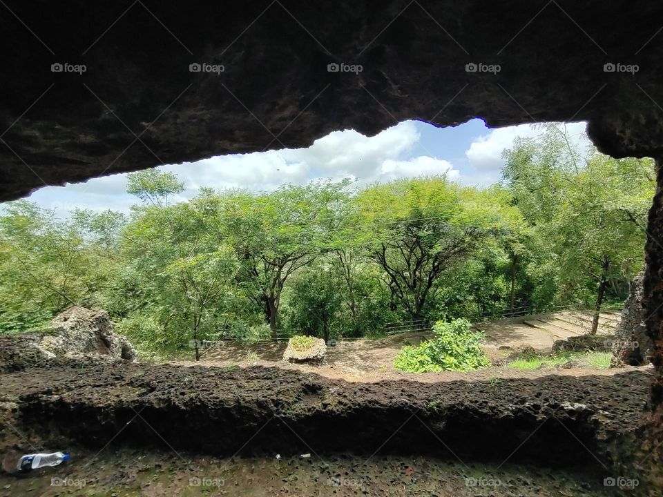 Through the green forest