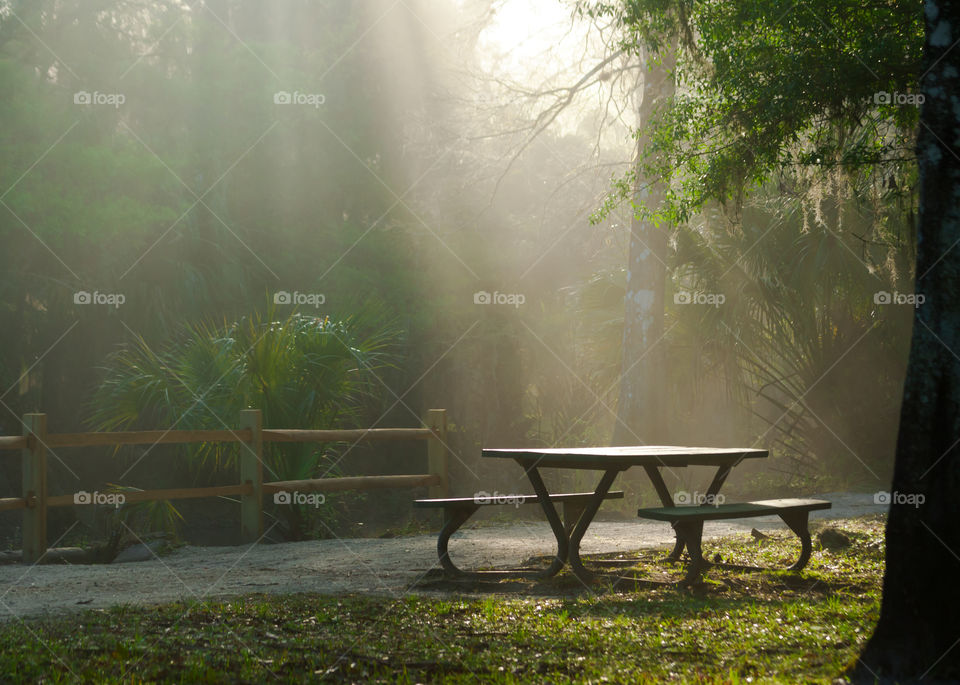 that perfect moment when the morning sun breaks through the clouds and the trees leaving beautiful sun beams to light up a subject like this picnic table in the park