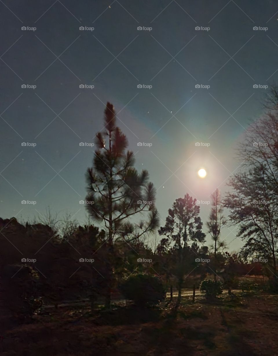 Light of the Wolf Moon 4