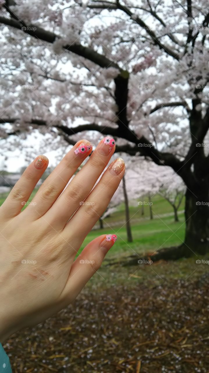 Sakura nail and Sakura. double Sakura.
