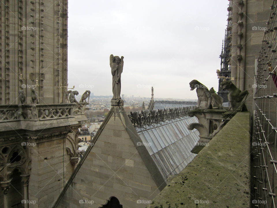 Norte dame view