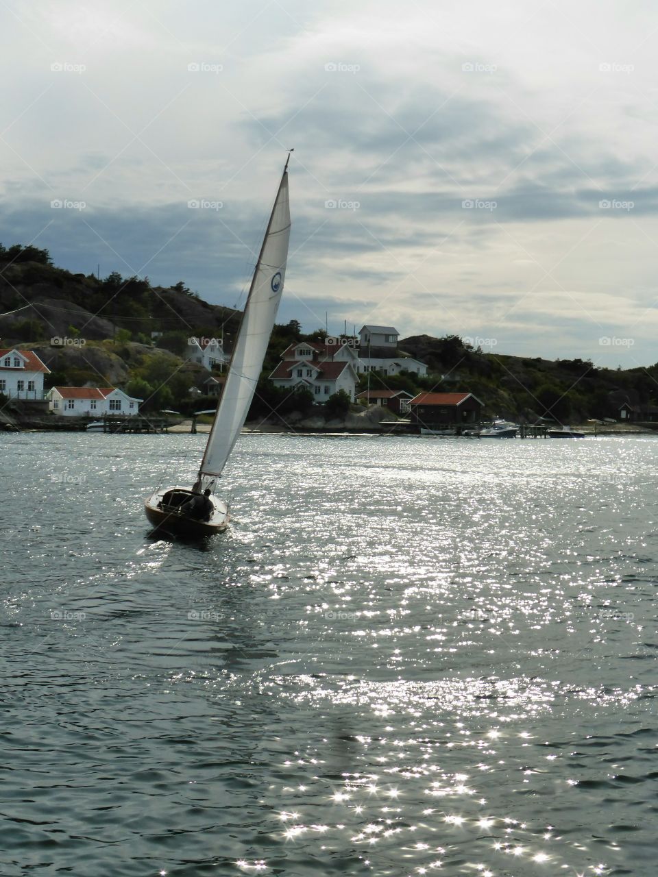 Sailing on the sea in the sunshine