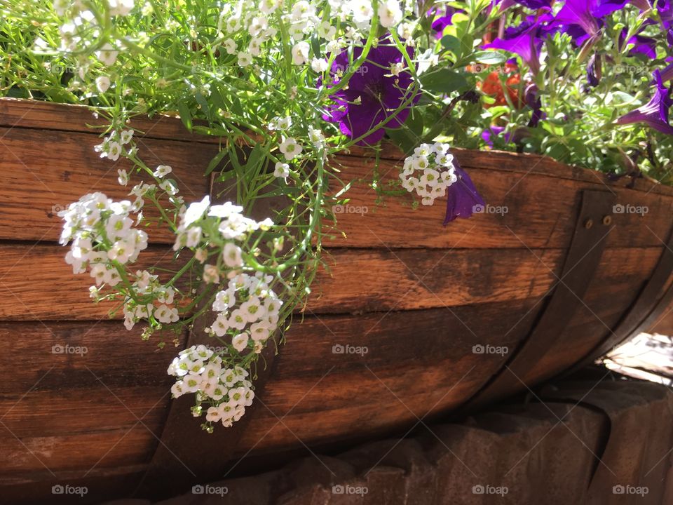Wine barrel flower bed