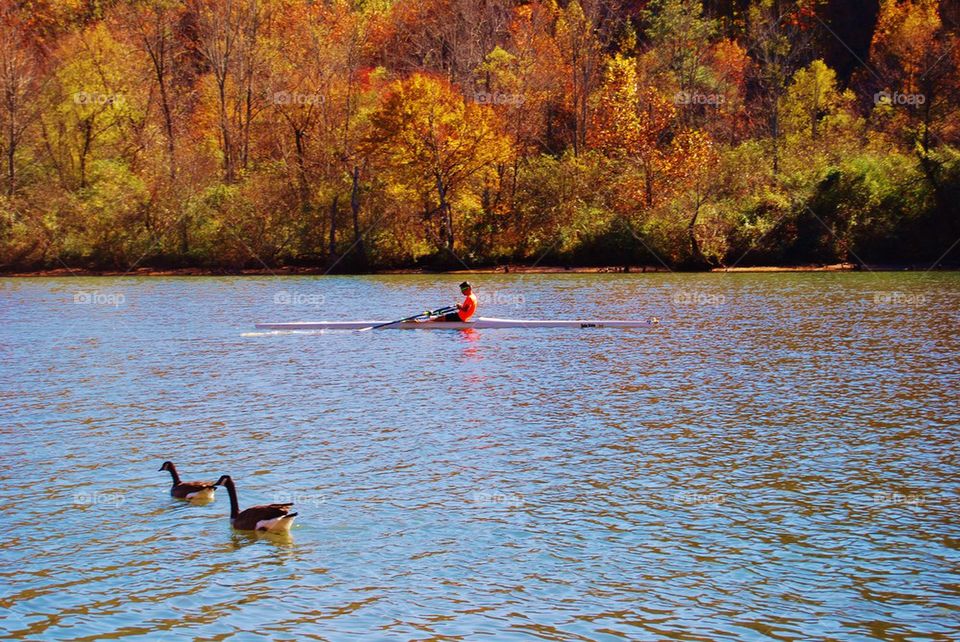 Rowing on the River