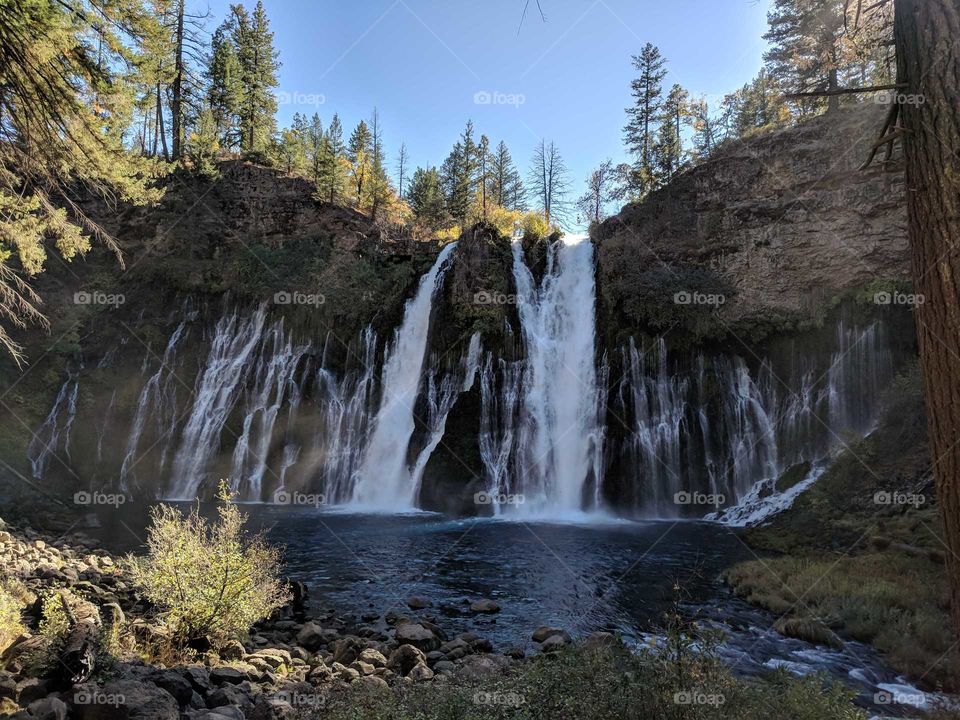 Burney Falls - Beautiful Waterfall in California Surrounded by Trees and Rocks