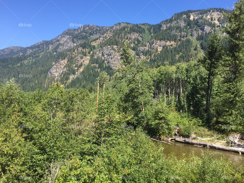 Nature, Wood, Landscape, Mountain, Tree