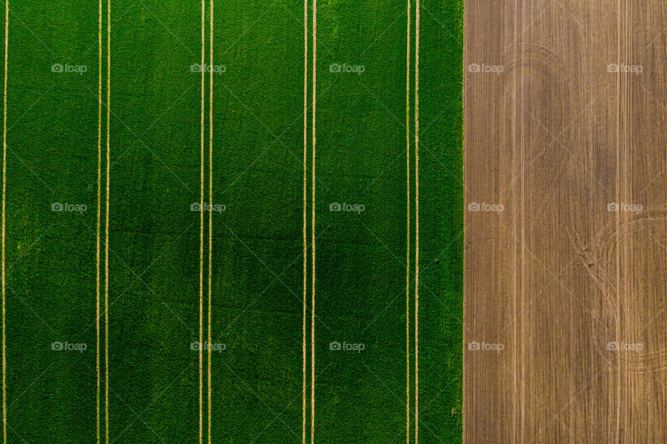 top view of agricultural field with green grass on one side and plowed field on the other, abstract natural texture
