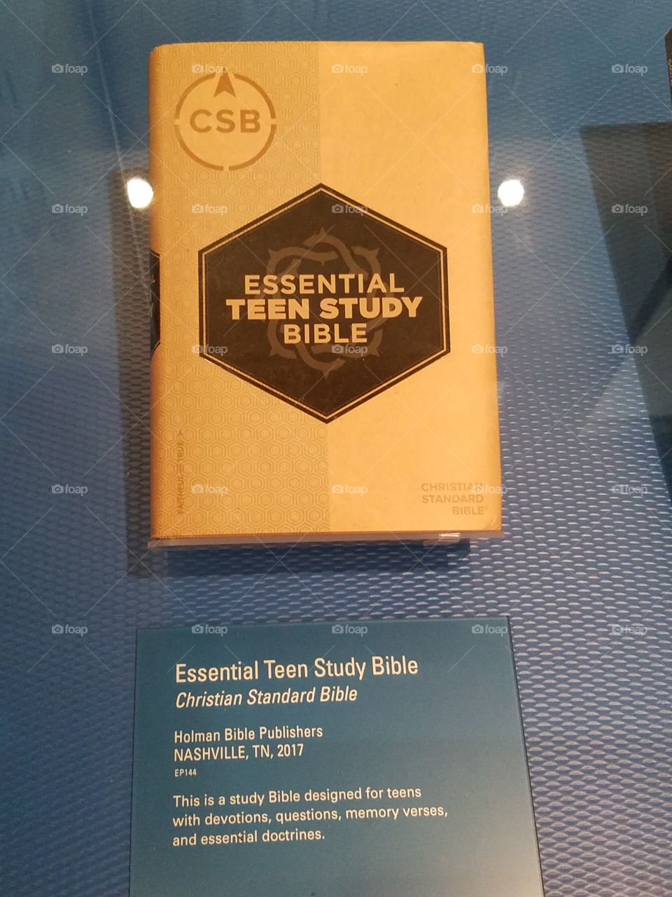 Teen study Bible