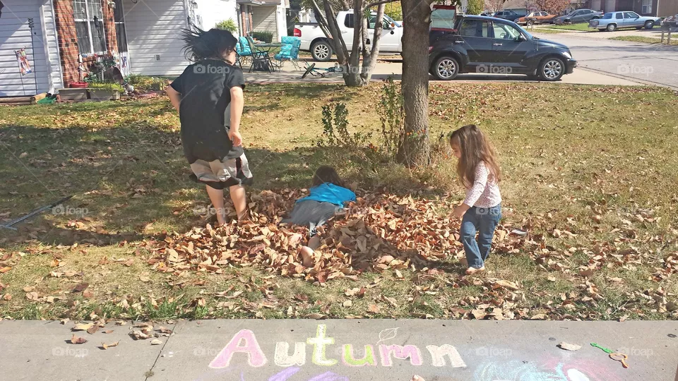 Celebrating Autumn