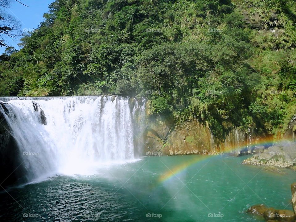The waterfall in a lush green forest has a rainbow above it. It cascades from a high cliff, creating mist. The forest is full of greenery, the sky is clear, and the rainbow adds color.