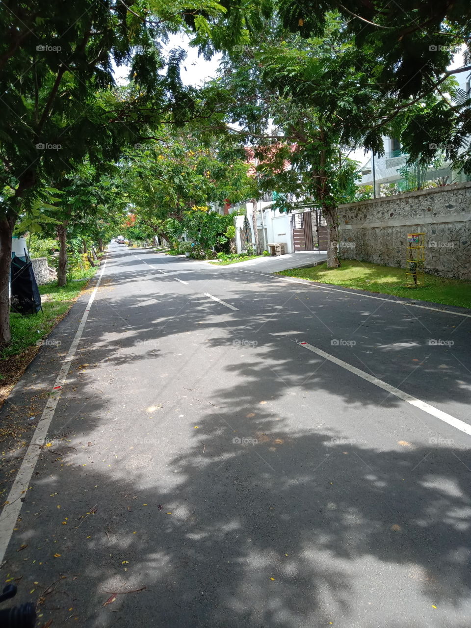 silhouettes and shadows