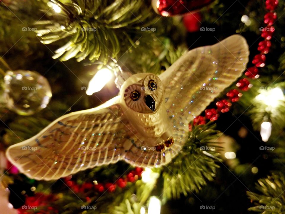 Christmas, Celebration, Winter, Decoration, Tree