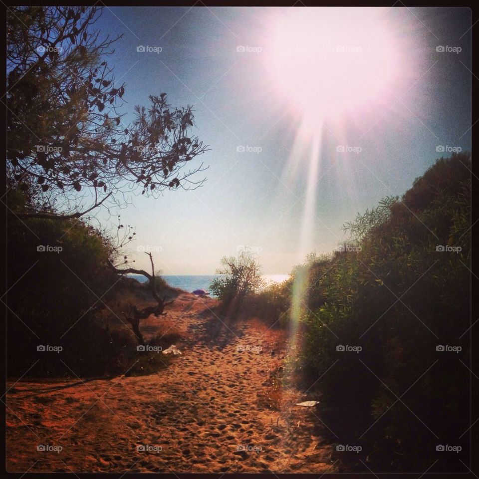 Beach way to the sea