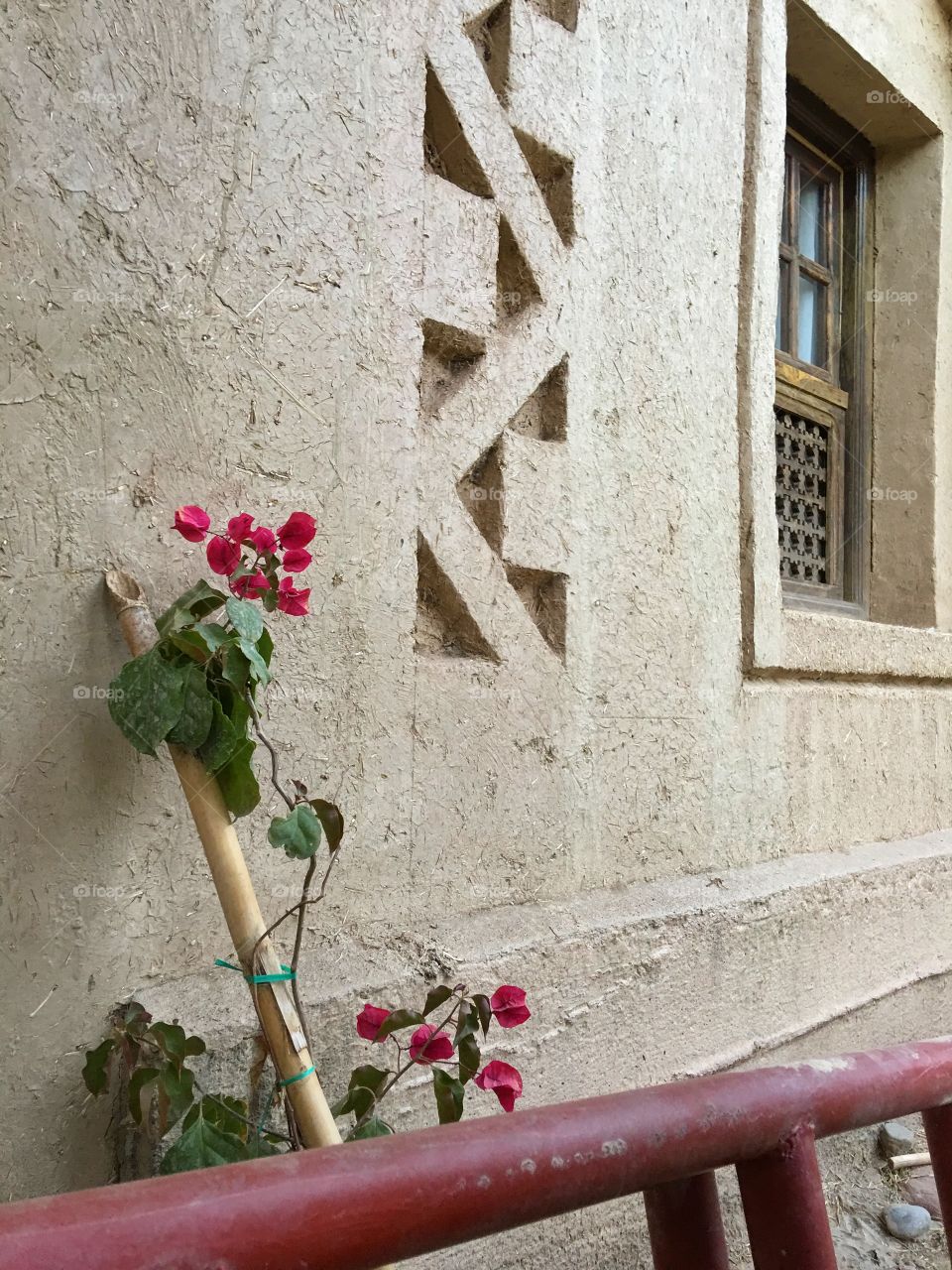Architecture, House, No Person, Wall, Flower