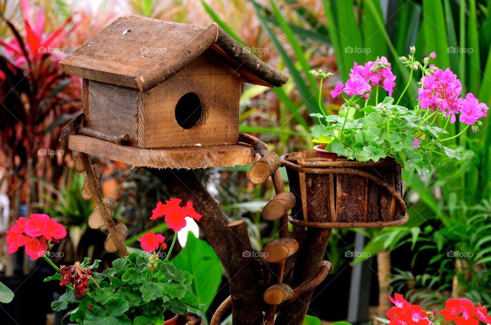 Birds nest at pretty garden
