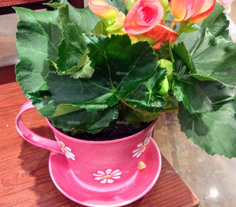 Flower Teapot