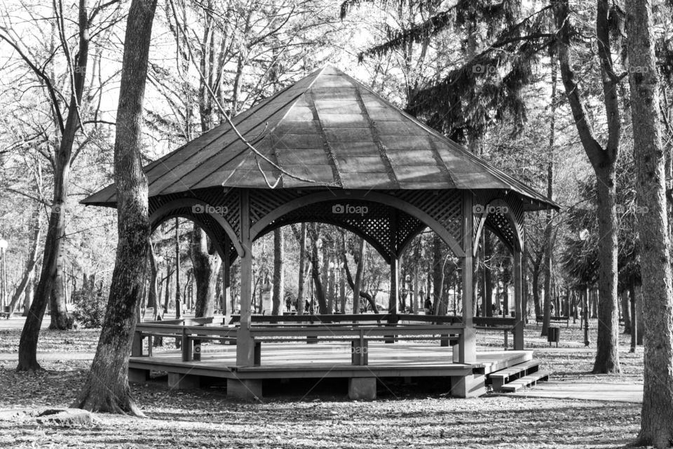 Black and white wood structure building in the public garden