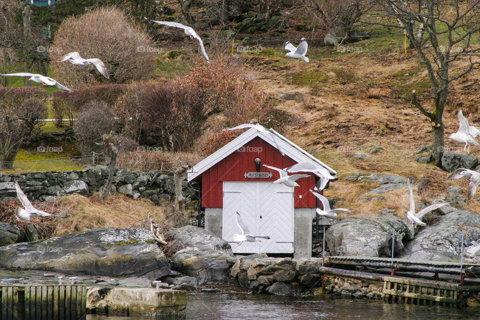 Red shelter by the sea. 