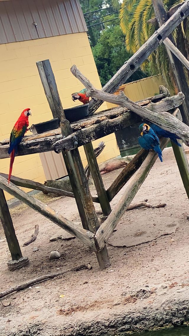 Panama City Zoo :) 