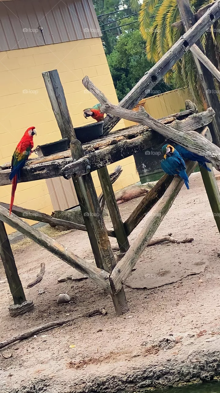 Panama City Zoo :) 