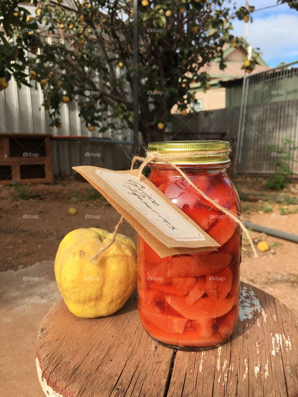 Ripe organic Quince fruit beside glass canning jar of quince fruit sliced preserves on rustic wood stool, with quince fruit tree in blurred background, copy text space 