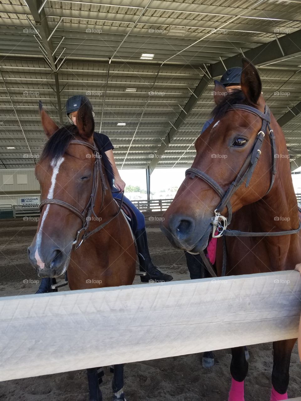 American  4-H County Fair