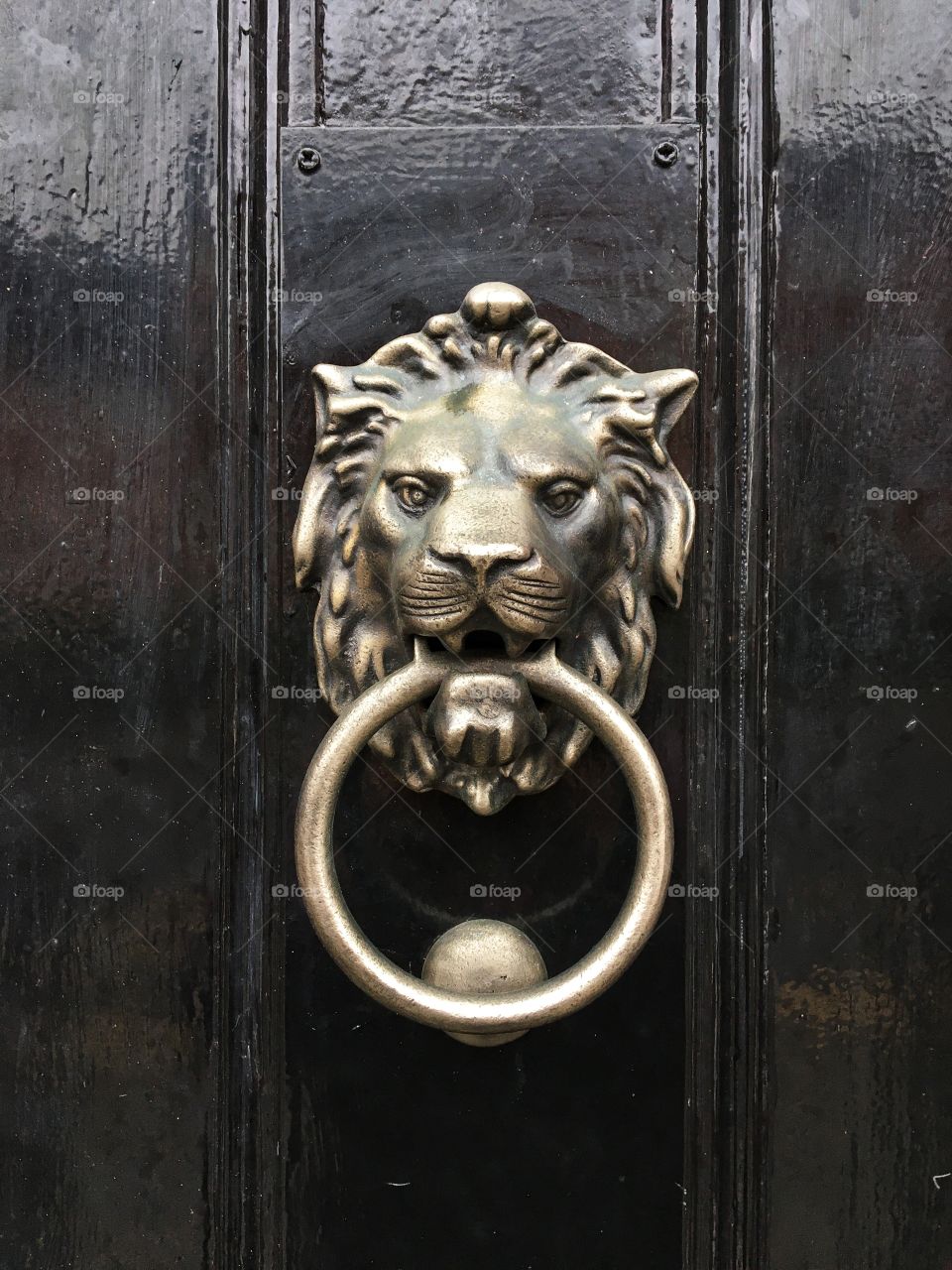 Lion door knocker ... love it 💗