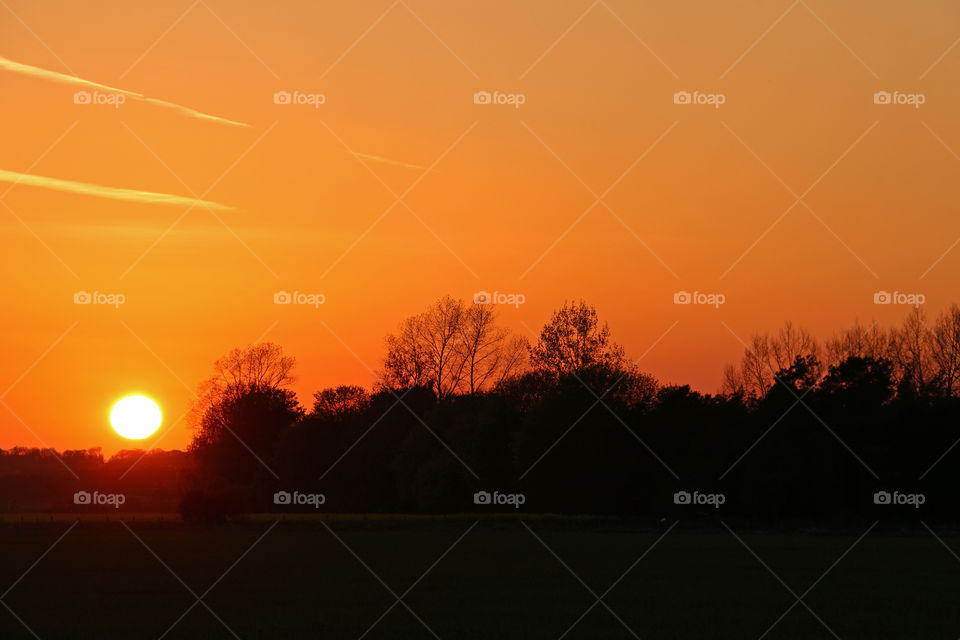 Orange Sunset and Tree Silhouettes