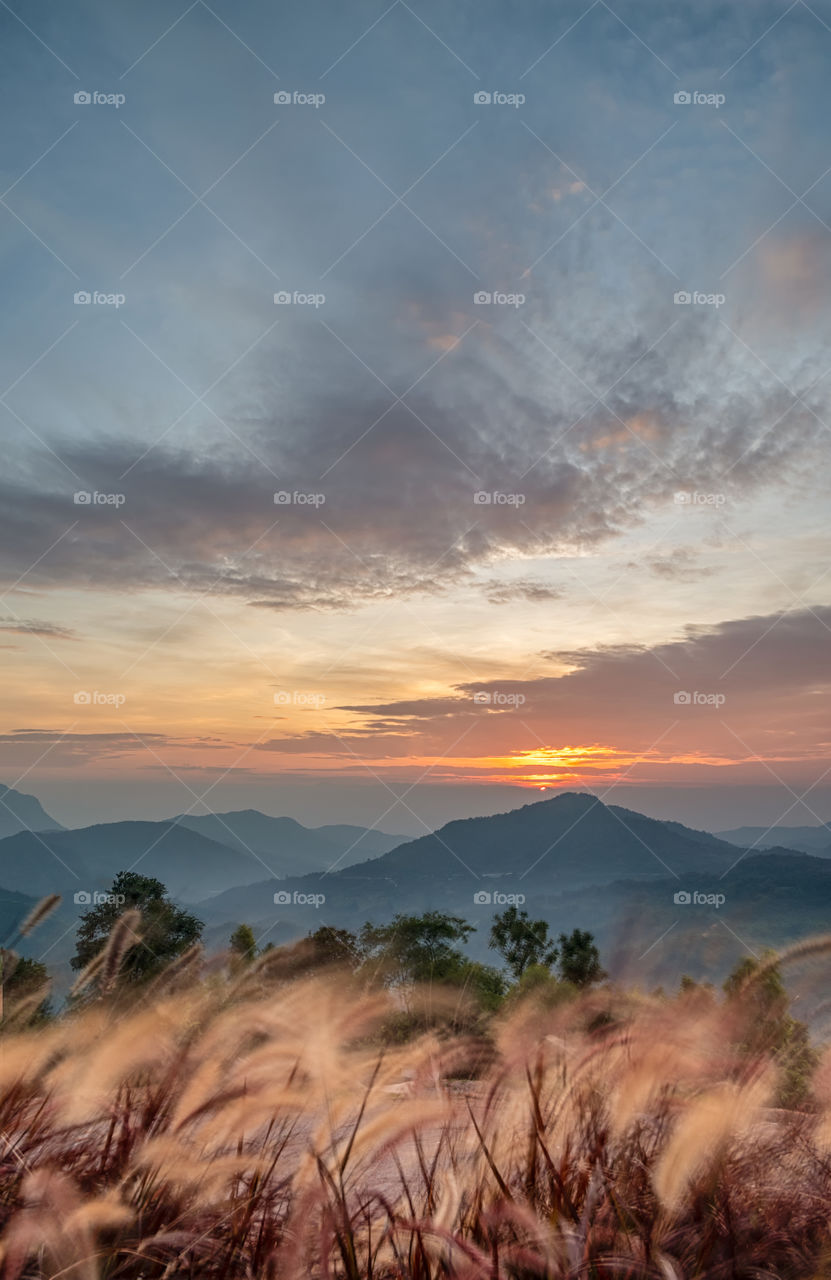 Beautiful sunrise scene in Thailand