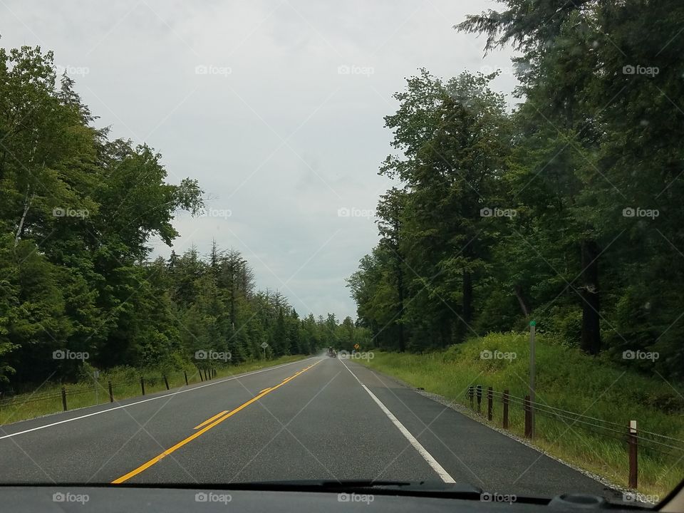 Road, Asphalt, Tree, No Person, Highway