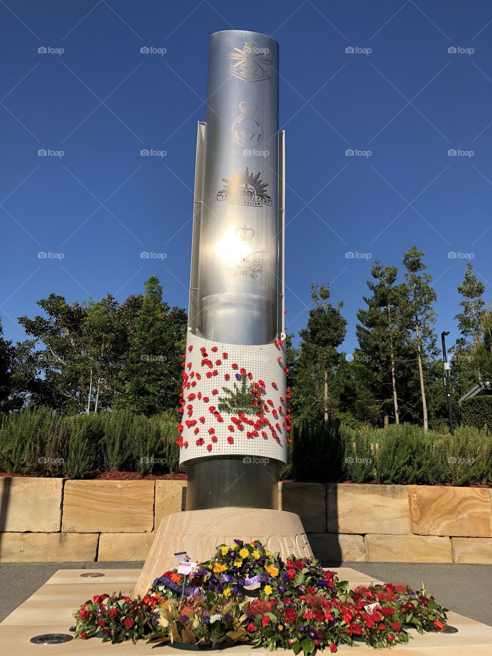 Remembrance Day lest we forget