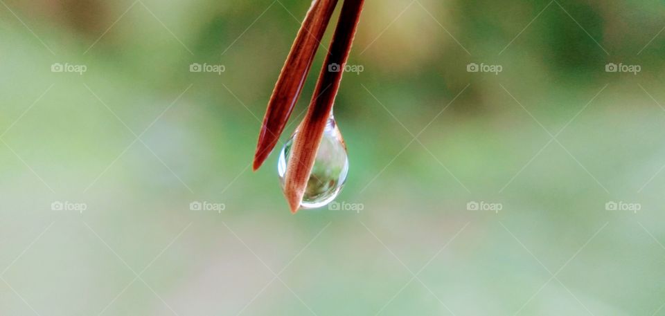 water drop