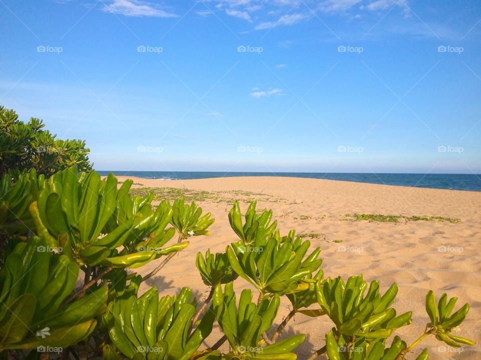 Sri Lankas beach