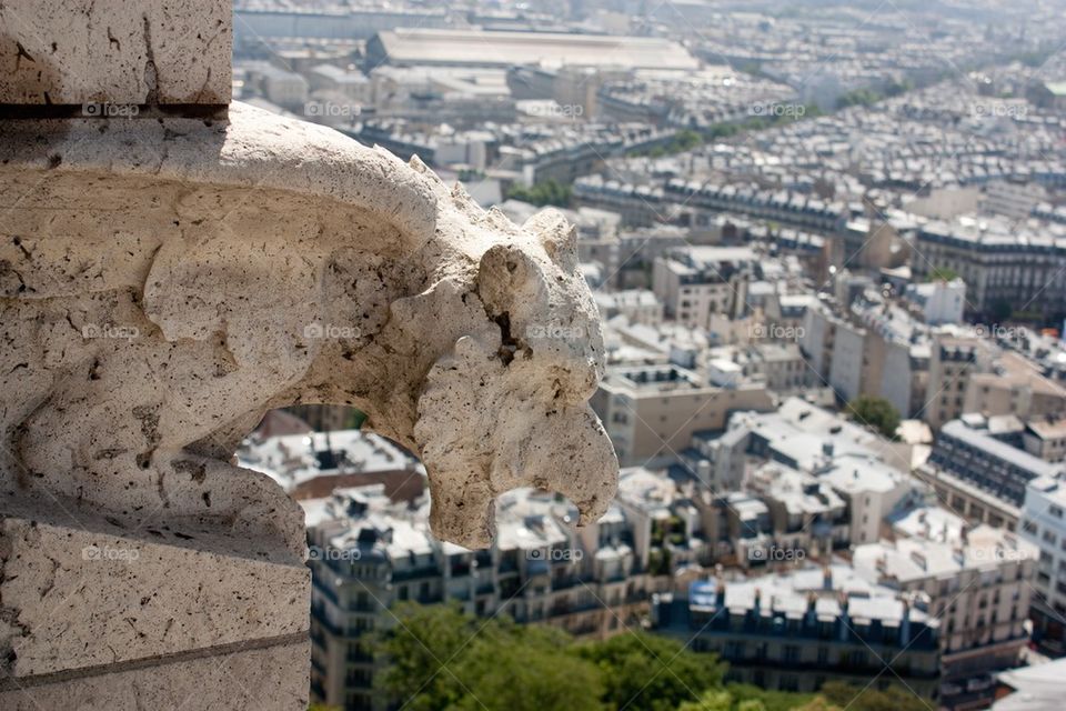 French gargoyle 