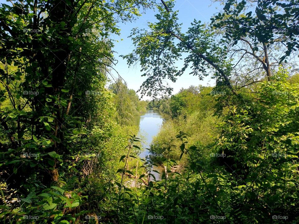 ein Bach im Wald  , Kreis Germersheim