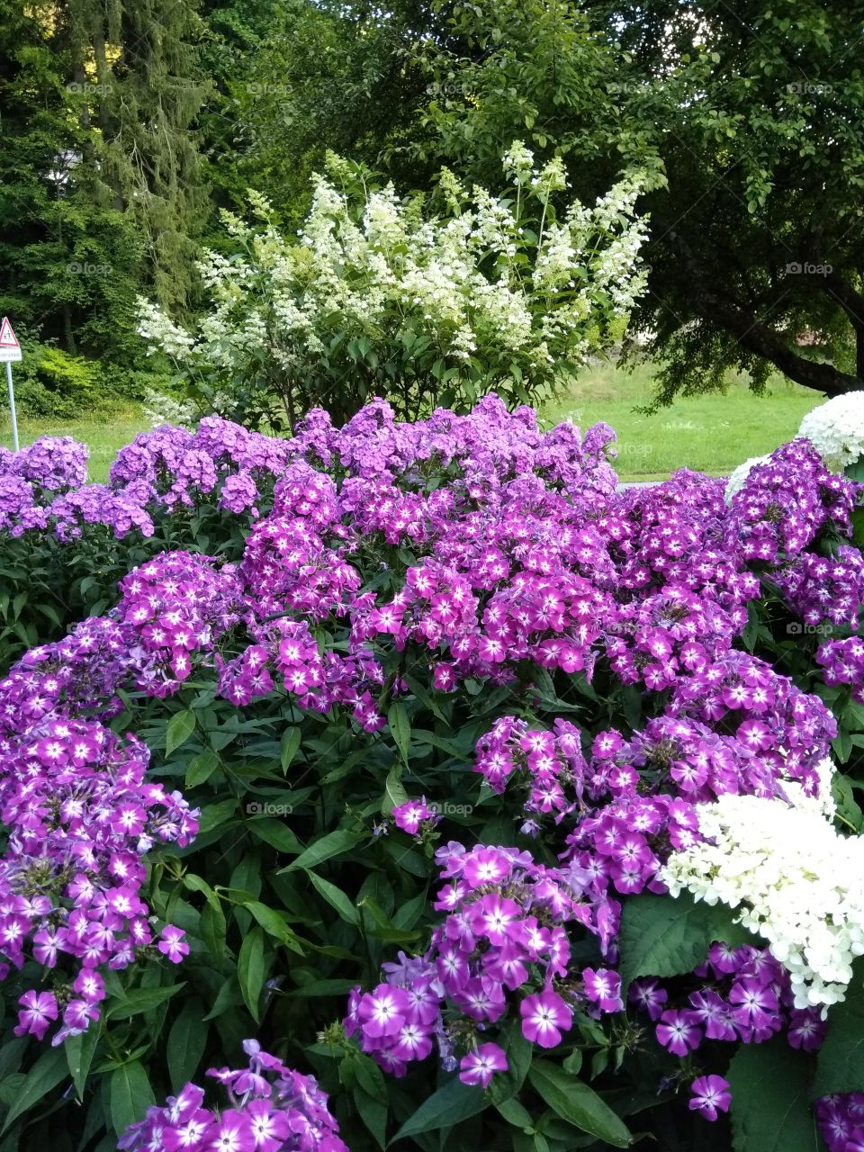 Kurpark in Bad Wildbad