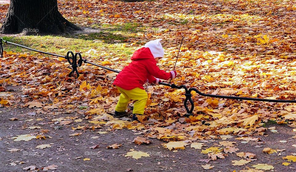 Park time 🍁🍂 Autumn leaves🍁🍂 Fall mood 🍁🍂